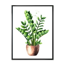Designart 'Zamioculcas Tropical Plant With Green Leaves On White' Traditional Framed Canvas Wall Art Print