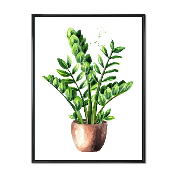 Designart 'Zamioculcas Tropical Plant With Green Leaves On White' Traditional Framed Canvas Wall Art Print
