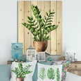 thumbnail image 1 of Designart 'Zamioculcas Tropical Plant With Green Leaves On White' Traditional Print on Natural Pine Wood, 1 of 1