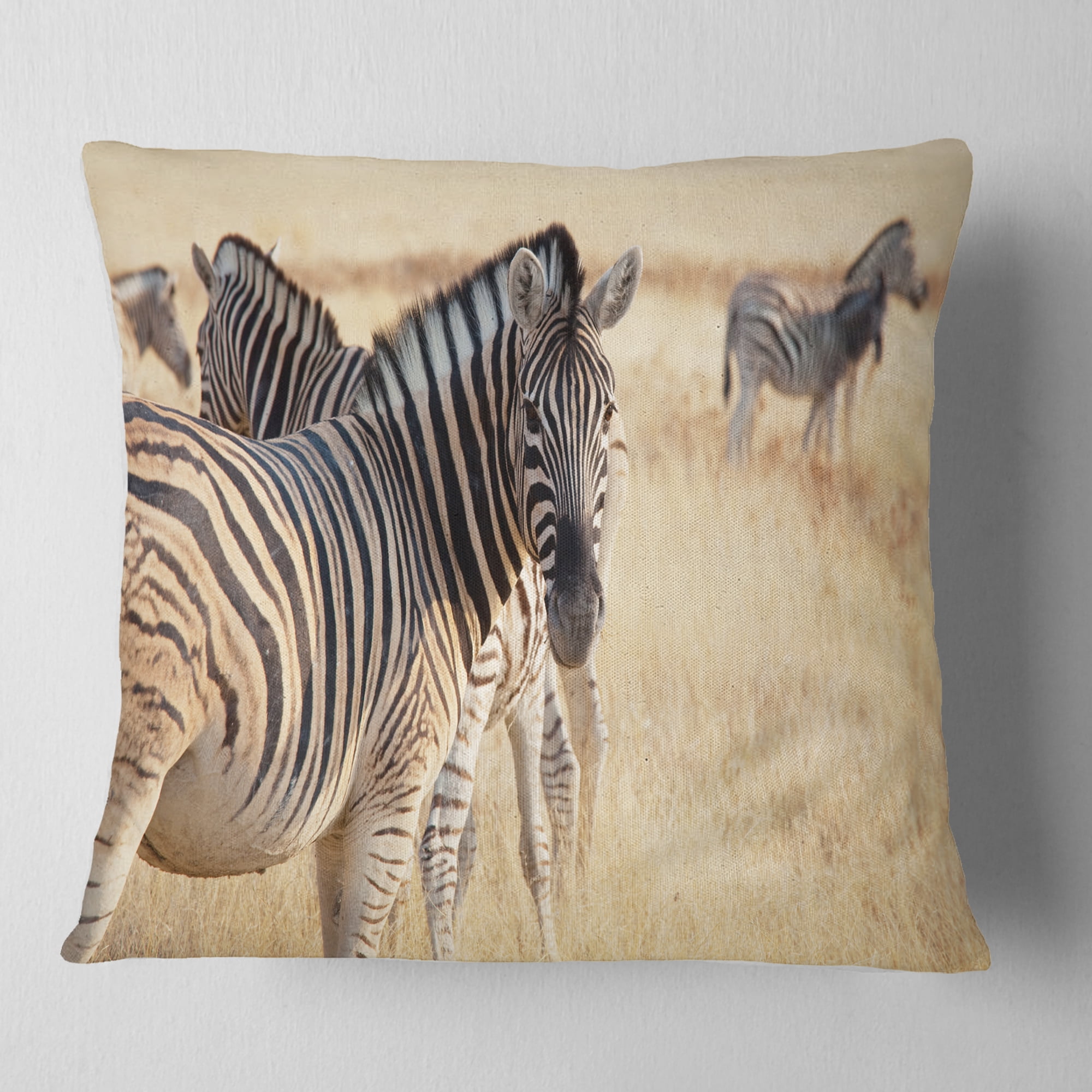 Designart Zebra in Etosha Wandering in Grass - African Throw Pillow - 16x16