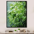 thumbnail image 1 of Designart "Zenith Of Serenity: Japanese Bamboo I" Japan Art Floater Framed Canvas Prints, 1 of 5
