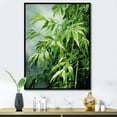 thumbnail image 1 of Designart "Zenith Of Serenity: Japanese Bamboo" Japan Art Floater Framed Canvas Wall Art, 1 of 5