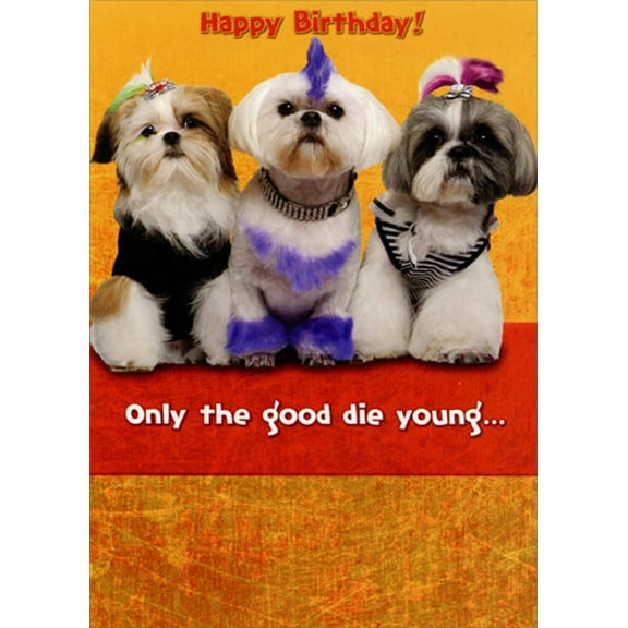 Designer Greetings 3 Yorkshire Terriers : Only The Good Die Young Funny : Humorous Risque Feminine Birthday Card for Her : Woman : Women
