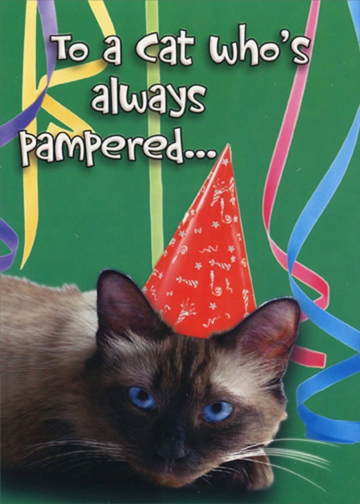 Designer Greetings Always Pampered Funny Birthday Card for Cat ...