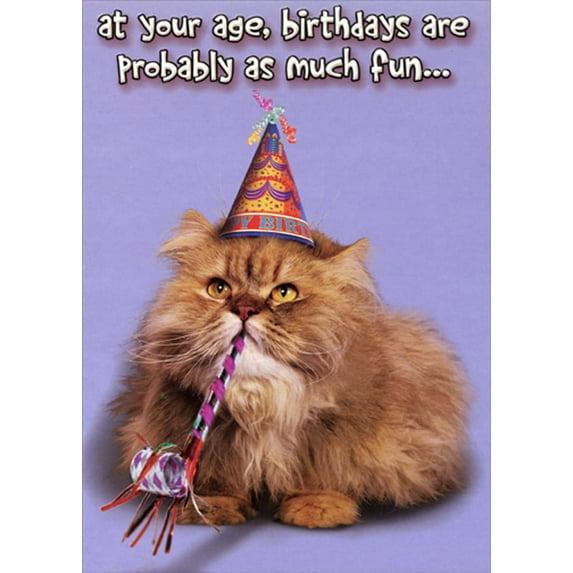 Designer Greetings As Much Fun : Cat with Party Hat and Horn Funny : Humorous Risque Birthday Card for Him : Man : Men