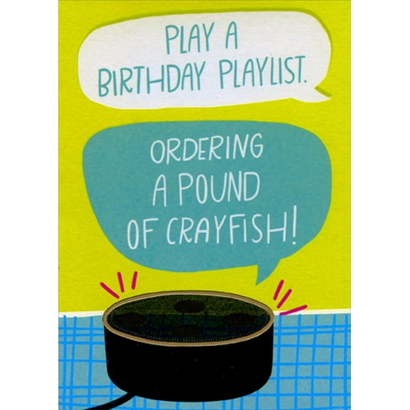 Designer Greetings Birthday Playlist Voice Command Device Funny / Humorous Birthday Card
