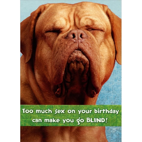 Designer Greetings Brown Dog with Closed Eyes Funny : Humorous Risque Birthday Card