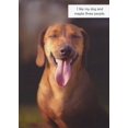 thumbnail image 1 of Designer Greetings Brown Dog with Closed Eyes Sticking Out Tongue Funny / Humorous Birthday Card, 1 of 2