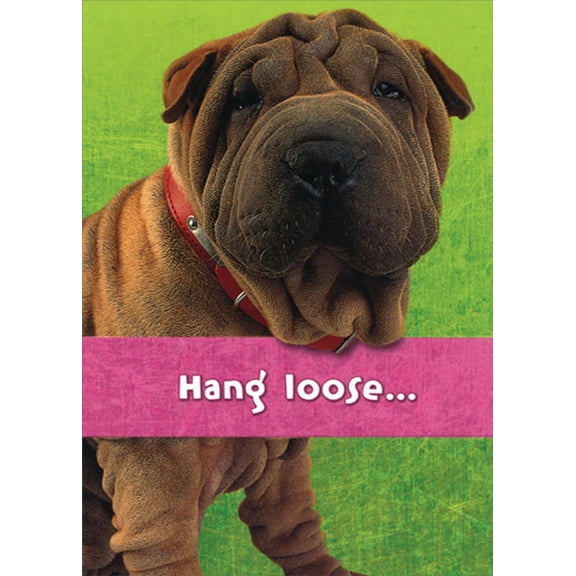 Designer Greetings Brown Wrinkly Dog : Hang Loose Funny : Humorous Congratulations Card