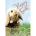 thumbnail image 1 of Designer Greetings Bunny in Flower Pot Easter Card, 1 of 2