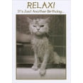 thumbnail image 1 of Designer Greetings Cat with Wet Fur Funny Birthday Card, 1 of 2