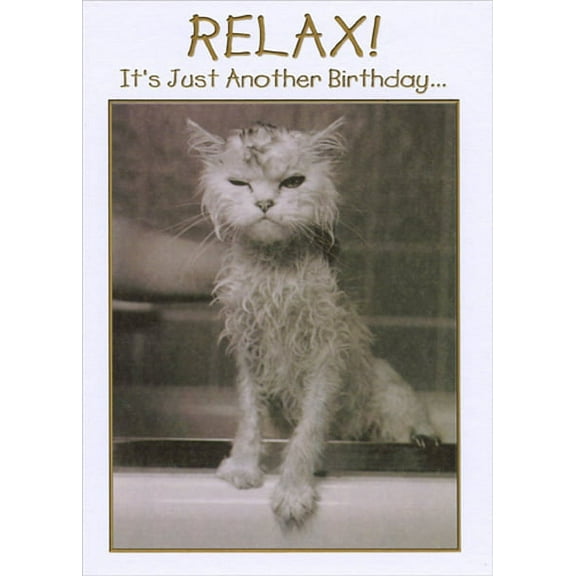 Designer Greetings Cat with Wet Fur Funny Birthday Card