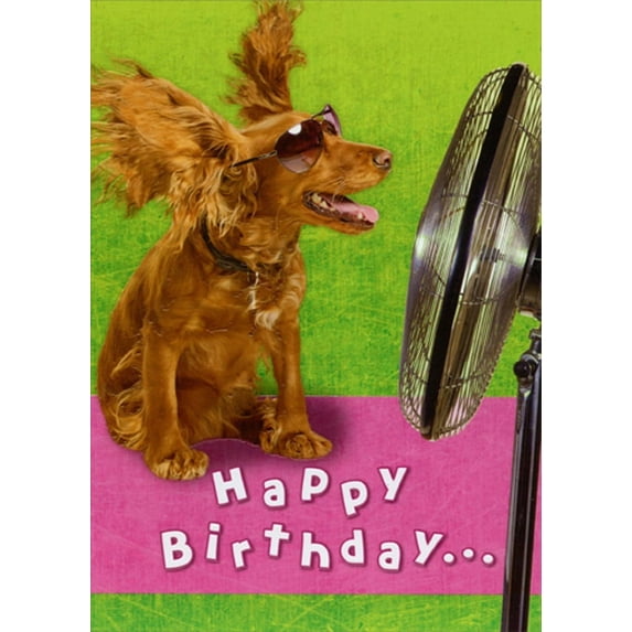 Designer Greetings Circular Fan Blowing Brown Dogs Ears Funny : Humorous Birthday Card
