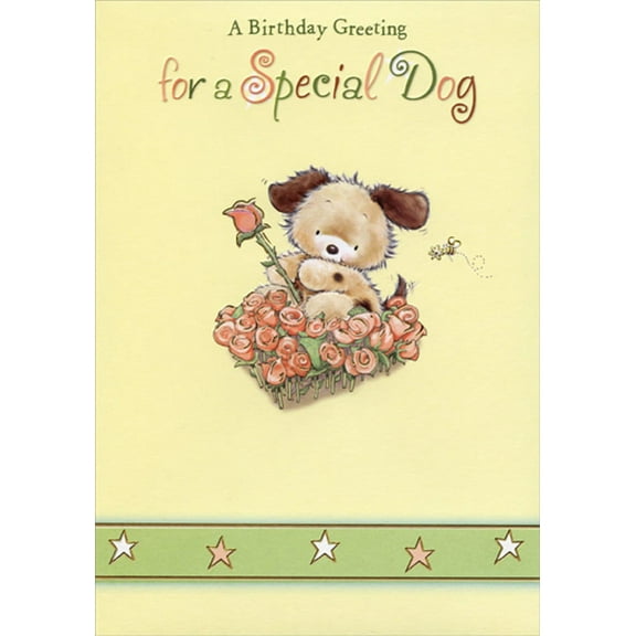 Designer Greetings Dog Sitting in Roses Birthday Card for Dog