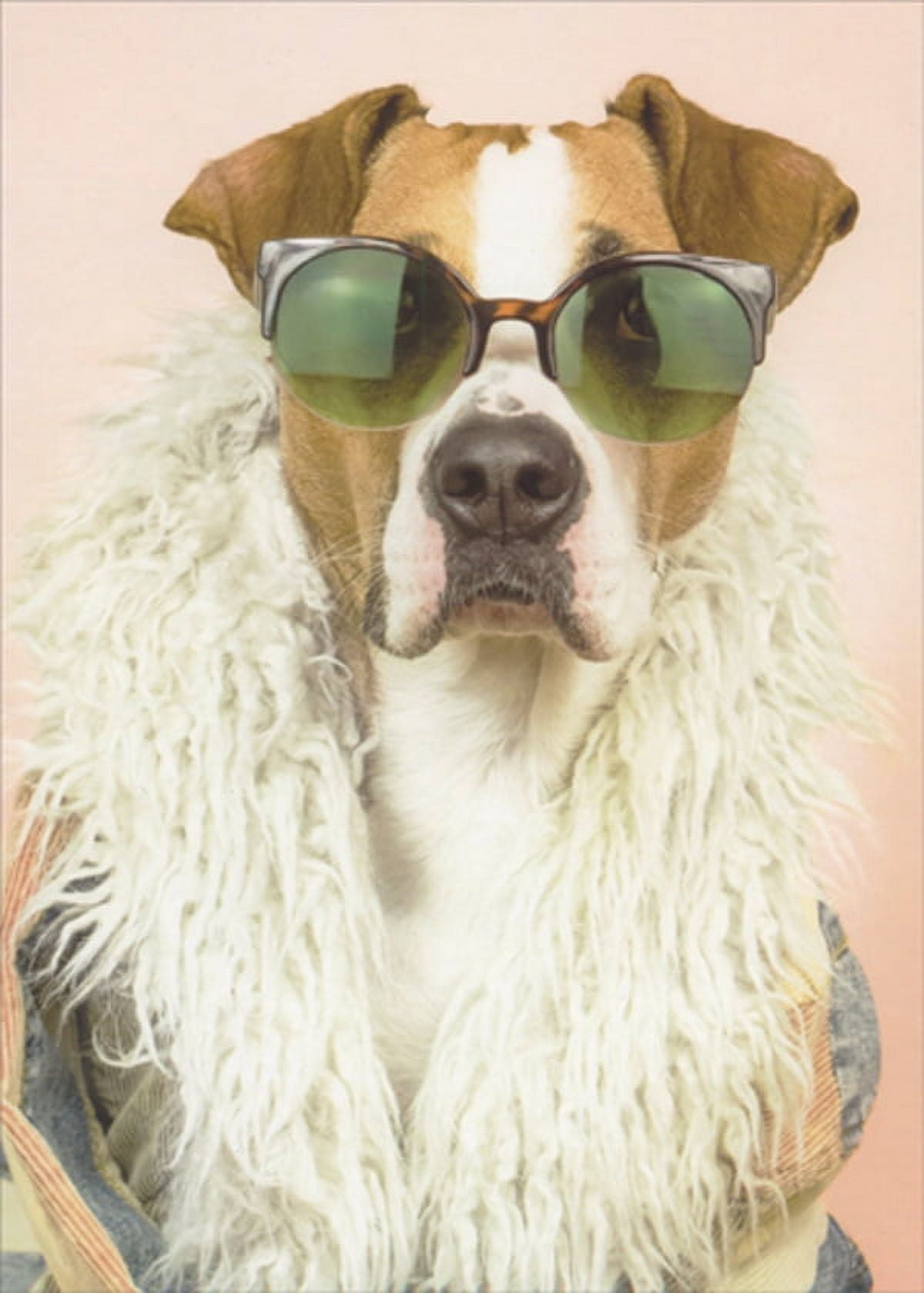 Designer Greetings Dog Wearing Green Sunglasses and White Scarf Funny ...
