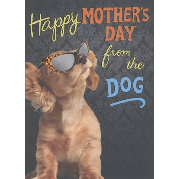 Designer Greetings Dog Wearing Sunglasses with Leopard Pattern and Reflective Lenses Funny / Humorous Mother's Day Card from the Dog