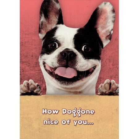 Designer Greetings Doggone Nice of You Funny / Humorous Thank You Card