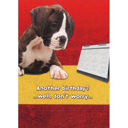 Designer Greetings Don't Worry : Boxer Looking at Calendar Funny : Humorous Dog Birthday Card