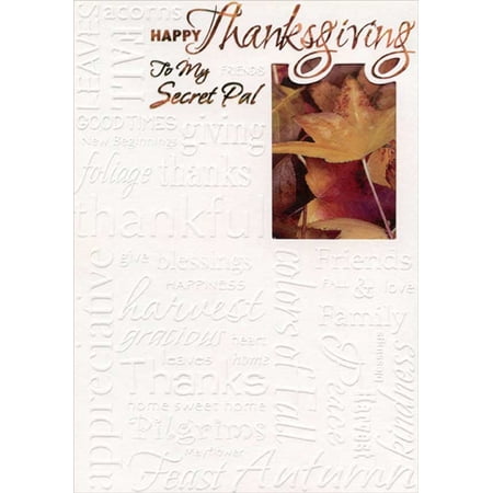 Designer Greetings Embossed Words on White : Leaves in Die Cut Window Thanksgiving Card for Secret Pal