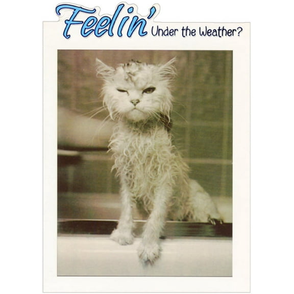 Designer Greetings Feelin' Under the Weather Cat Funny / Humorous Get Well Card