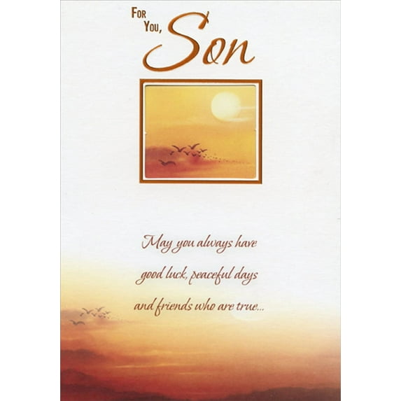 Designer Greetings Flock of Birds and Orange Sky in Die Cut Square Window Birthday Card for Son