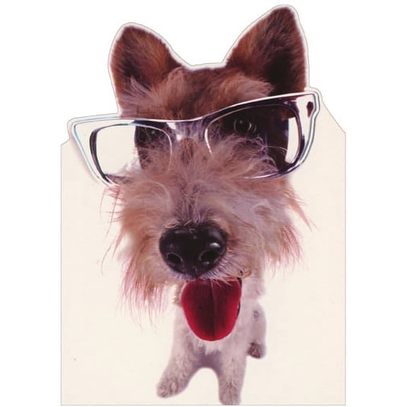 Designer Greetings Fox Terrier Closeup Photo : Die Cut Blank Note Card