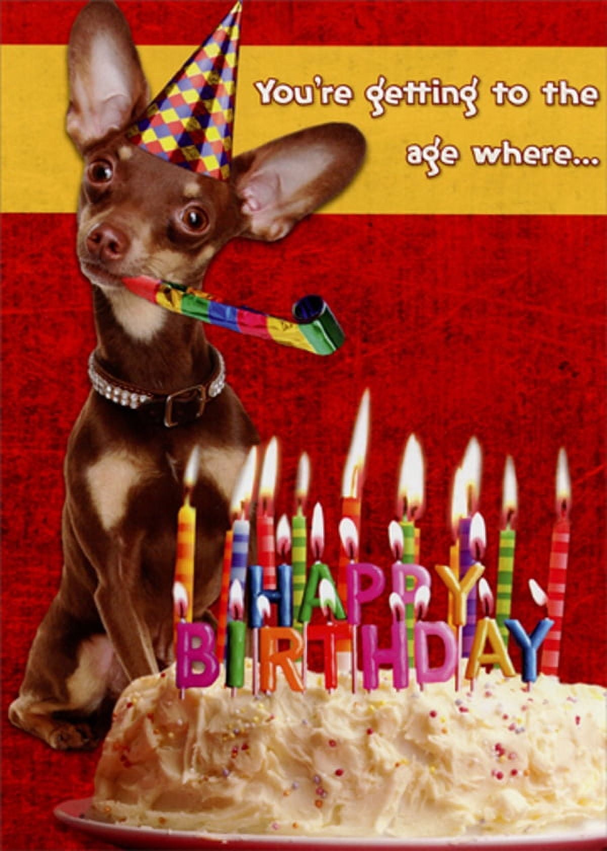 Designer Greetings Getting to the Age : Chihuahua Blowing Party Horn Funny  : Humorous Dog Over the Hill Insulting Birthday Card for Him : Man : Men -  Walmart.com, image size:1200x1680