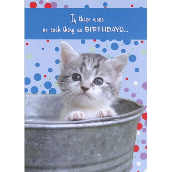 Designer Greetings Gray Kitten Inside Metal Bucket Cute : Sentimental Cat Birthday Card