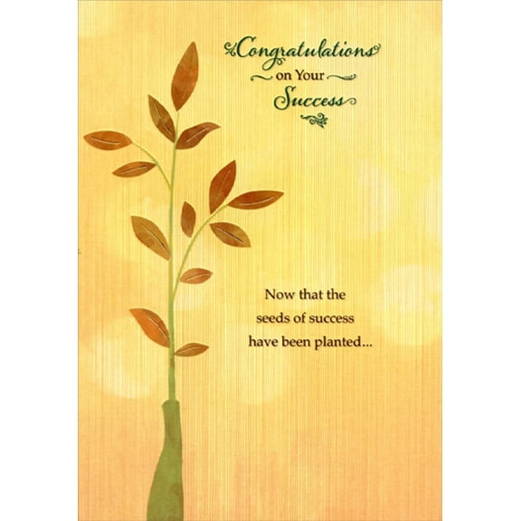 Designer Greetings Green Vase Holding Tall Plant Success Congratulations Card
