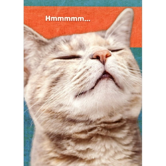 Designer Greetings Hmmmmmm : Cat Sniffing the Air Cute Funny : Humorous Birthday Card