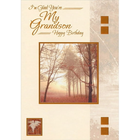 Designer Greetings I'm Glad: Tall Trees in Orange Foil Square Frame Grandson Birthday Card