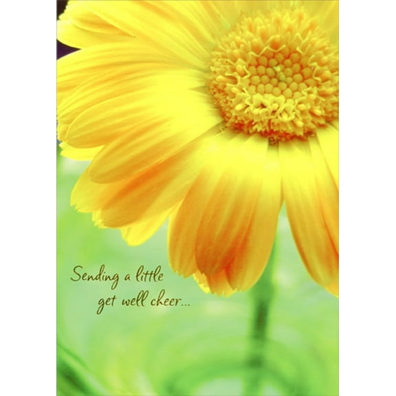 Designer Greetings Large Sunflower Photo Get Well Cheer Card