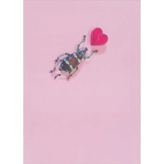 Designer Greetings Love Bug and Pink Heart Funny Valentine's Day Card