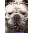 thumbnail image 1 of Designer Greetings Only Look Mean Bulldog Funny : Humorous Dog Birthday Card, 1 of 2