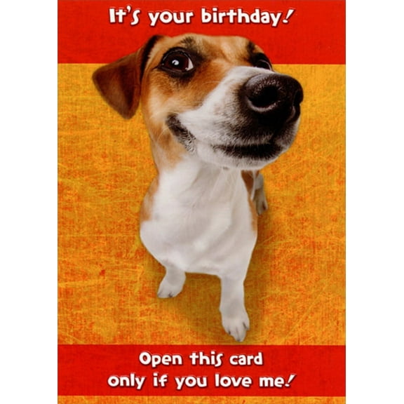 Designer Greetings Open This Card : Jack Russell Terrier Funny : Humorous Dog Love Birthday Card