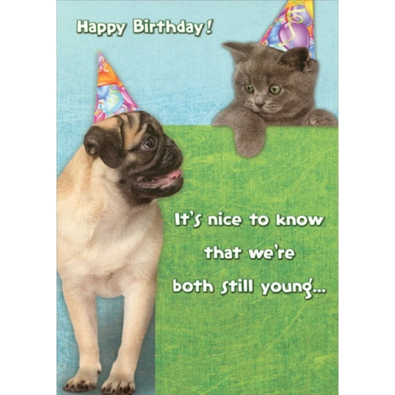 Designer Greetings Pug and Kitten : We're Both Still Young Funny : Humorous Dog and Cat Birthday Card
