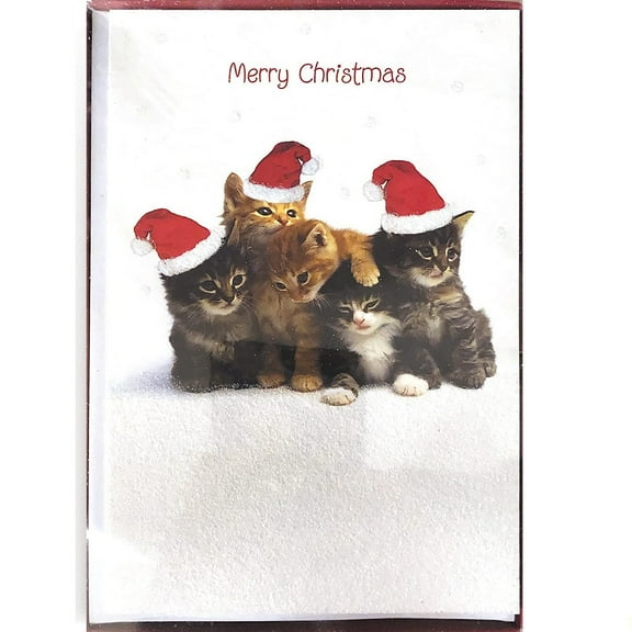 Designer Greetings Red Farm Studio 18 Greeting Cards with Envelopes, Kittens in Santa Hats