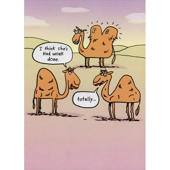 Designer Greetings She's Had Some Work Done Funny / Humorous Birthday Card