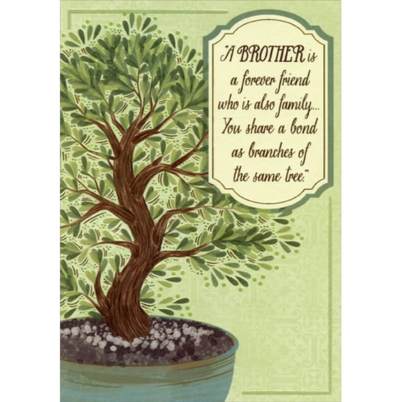 Designer Greetings Small Tree with Twisting Trunk in Pot Birthday Card for Brother