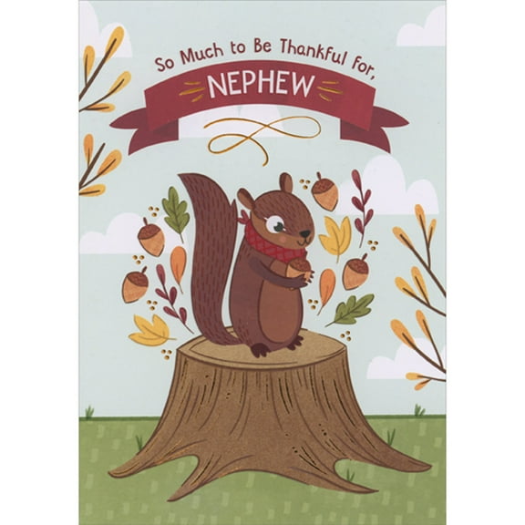 Designer Greetings Squirrel Holding Acorn on Tree Stump Cute Juvenile Thanksgiving Card for Young Nephew