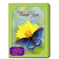 Designer Greetings Thank You Cards…