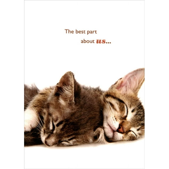 Designer Greetings Two Cuddling Sleeping Cats Friendship Card