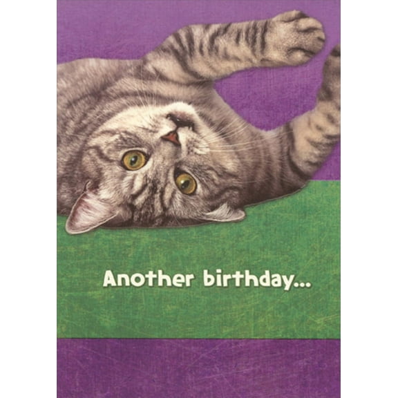 Designer Greetings Upside Down Cat on Purple and Green Funny : Humorous Birthday Card