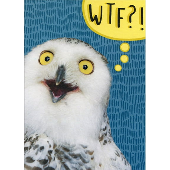 Designer Greetings WTF Shocked Owl Funny / Humorous Birthday Card