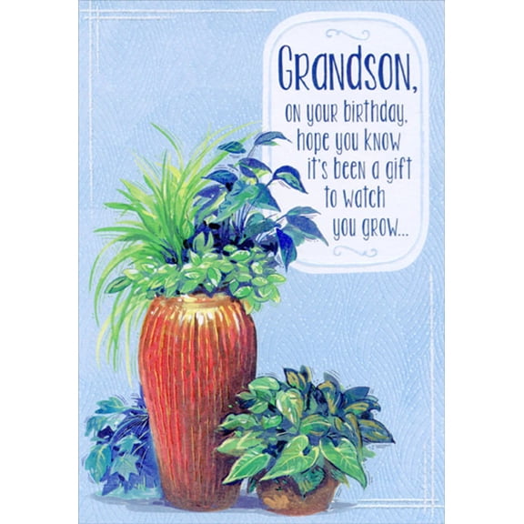 Designer Greetings Watch You Grow: Potted Plants Birthday Card for Grandson