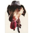 thumbnail image 1 of Designer Greetings Weimaraner Closeup Photo : Die Cut Blank Note Card, 1 of 2