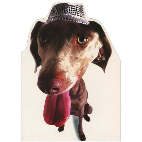 Designer Greetings Weimaraner Closeup Photo : Die Cut Blank Note Card