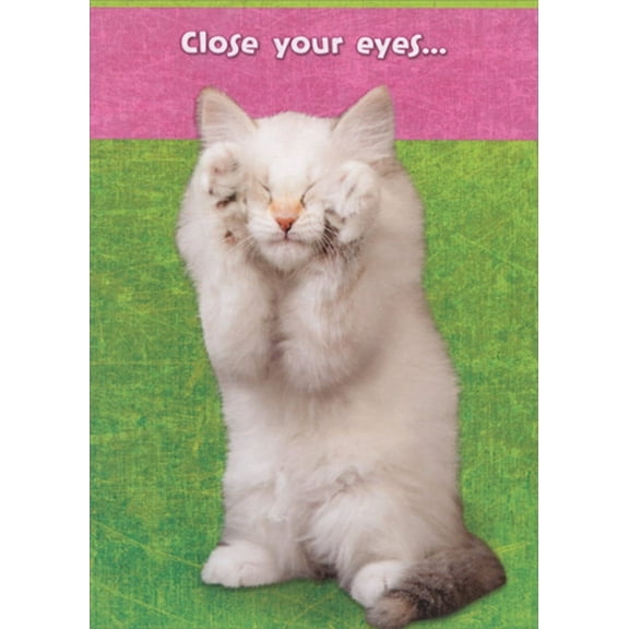 Designer Greetings White Cat Covering Eyes with Paws Cute Birthday Card