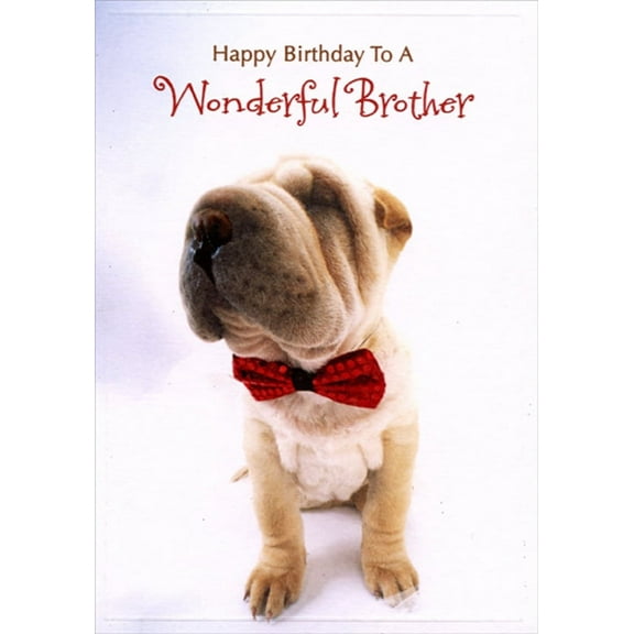 Designer Greetings Wrinkled Dog with Red Bow Tie Birthday Card for Brother