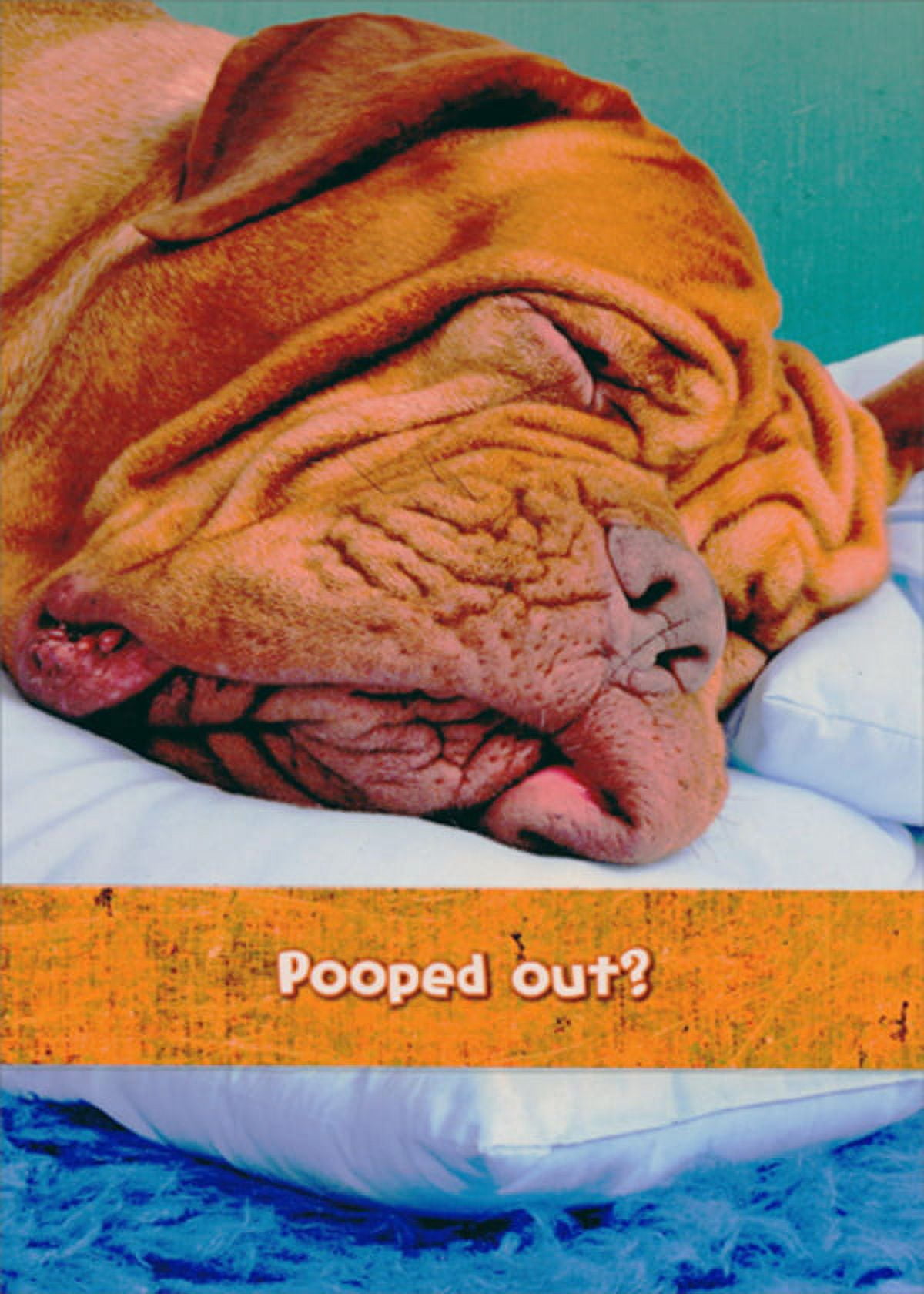 Designer Greetings Wrinkly Dog Pooped Out Funny / Humorous Get Well